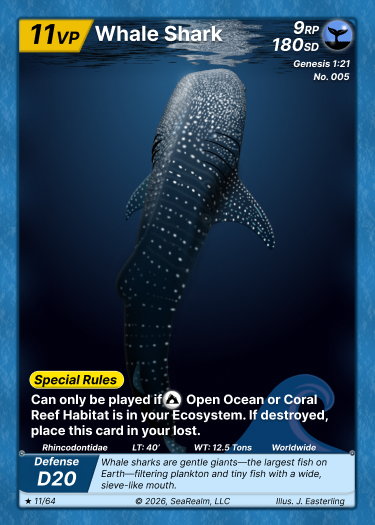 Blue Water Deck product preview